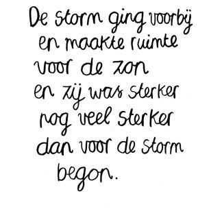 De storm ging voorbij