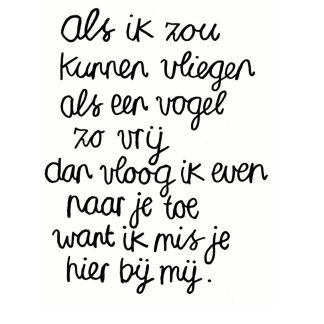Als ik zou kunnen vliegen